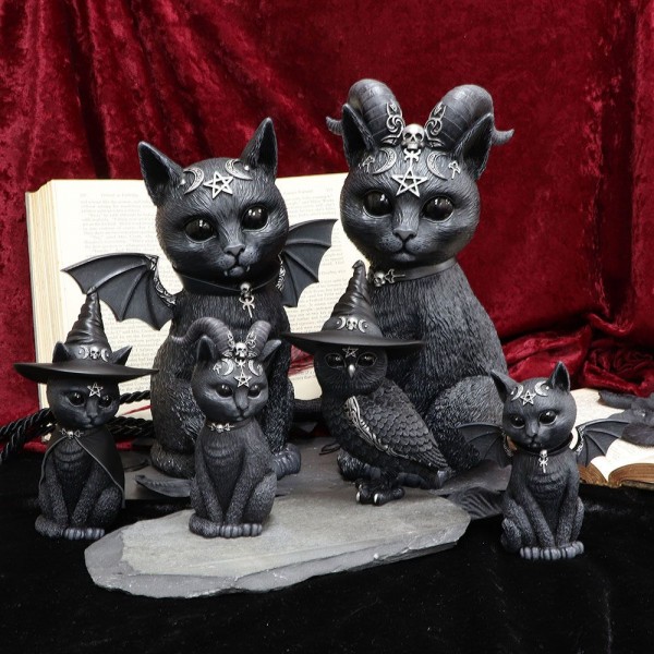 Gattini Dark Gattini Dark