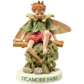 Sycamore Fairy