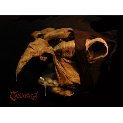 Die Gemälde mit Rinde. Die Gemälde mit Rinde.