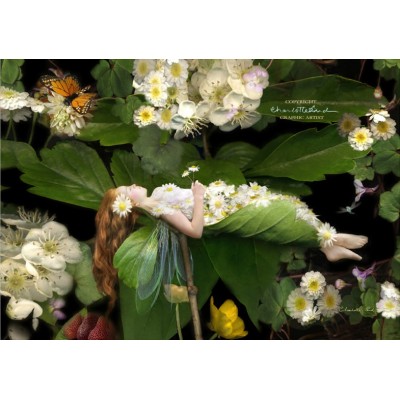 Wrapped in Dreams. Wrapped in Dreams.