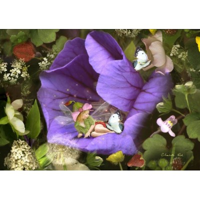 A Summer Garden. A Summer Garden.