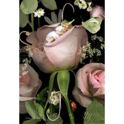 Night Falls in the Secret Garden. Night Falls in the Secret Garden.