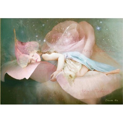 Rose Scented Nights. Rose Scented Nights.