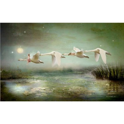 Lake of Tranquility. Lake of Tranquility.