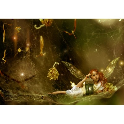 The hiding place The hiding place