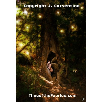 A Fairy Comfort