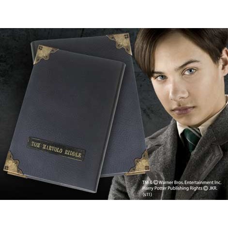 Diary of Tom Marvolo Riddle - Horcruxes