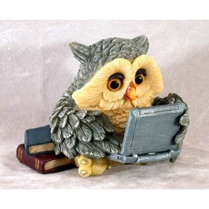 The owl with the computer