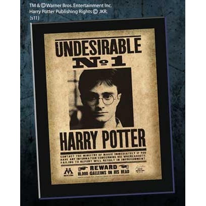 Harry Potter - Undesirable