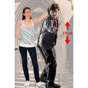 Harry Potter Cutout
