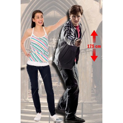La sagoma di Harry Potter La sagoma di Harry Potter