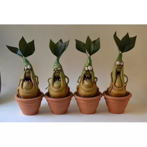 Mandragora Steinitz - groß