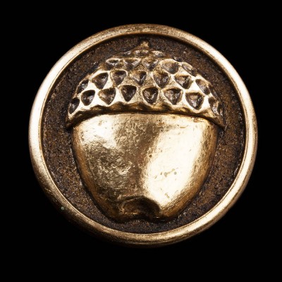 Acorn Button Magnet Acorn Button Magnet