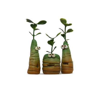 Mandragora di Steinitz - mini Mandragora di Steinitz - mini