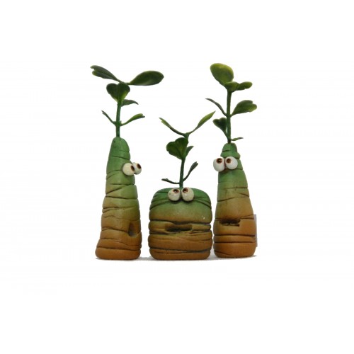 Mandragora di Steinitz - mini