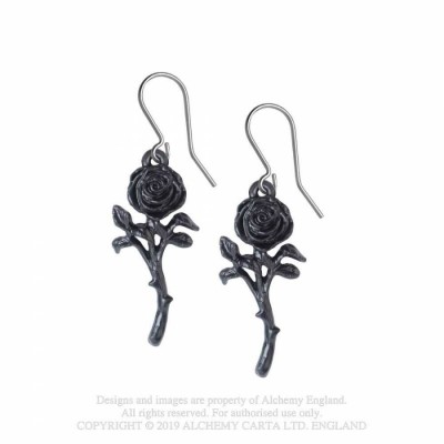 The Romance of the Black Rose The Romance of the Black Rose