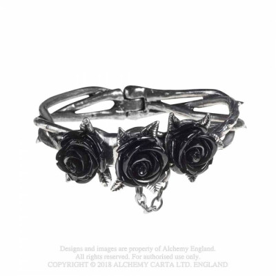 Wild Black Rose Wild Black Rose