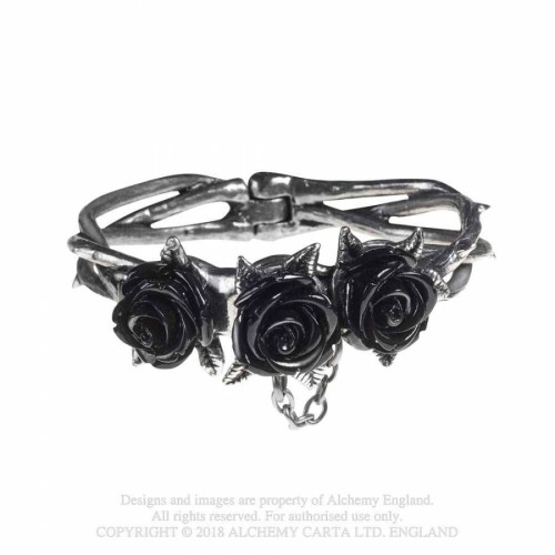 Wild Black Rose
