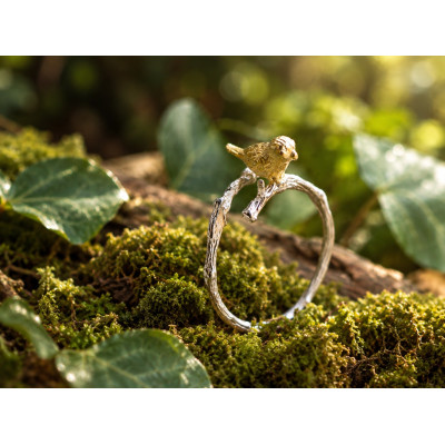 L'anello con l'uccellino L'anello con l'uccellino