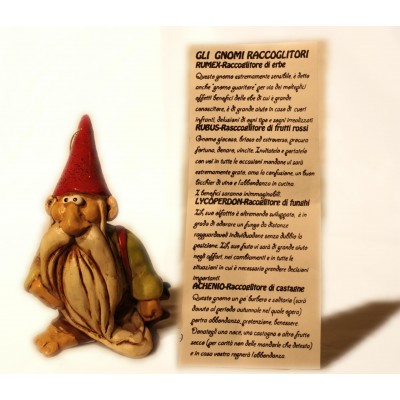 Raccoglitore di erbe Raccoglitore di erbe