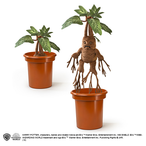 Mandragora interattiva
