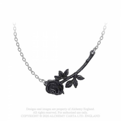 Black Rose Enigma Black Rose Enigma
