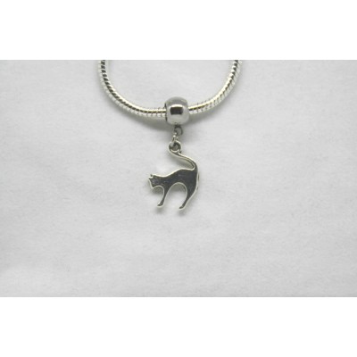 The kitten. The kitten.