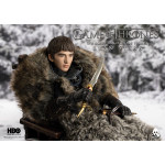 Bran Stark 1:6 Scale Figure