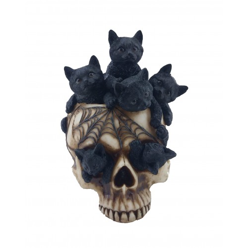 The kittens with the skull.