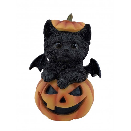 Il gatto nella zucca di Halloween.