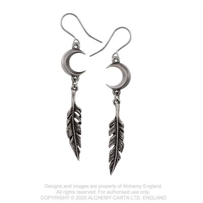 Pagan Dream Catcher Pagan Dream Catcher