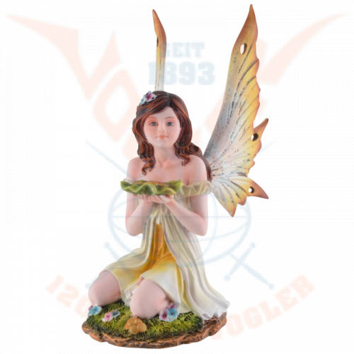 The fairy with the gold coins in the leaf (money fairy).