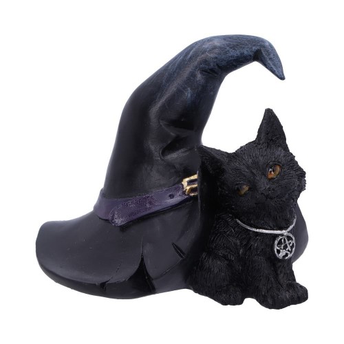 The cat next to the witch's hat.
