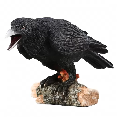 The crow on the log.