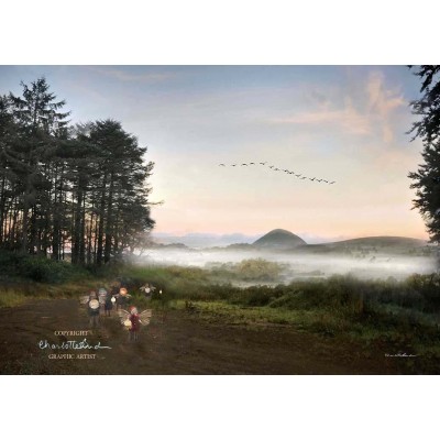 There be fairies here. There be fairies here.