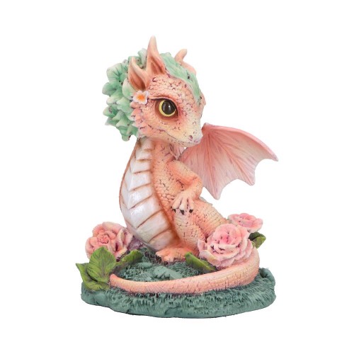 Carnation Flower Dragon.