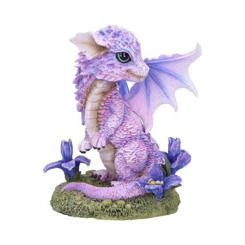 Iris Flower Dragon.