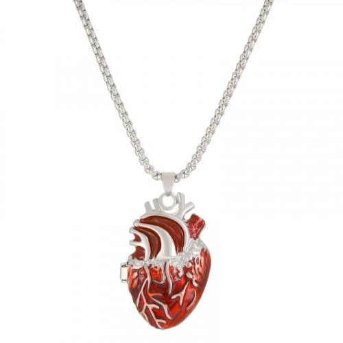 The heart with the arteries.