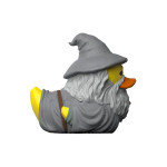 Gandalf the Grey.